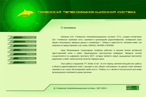 Тюменская телекоммуникационная система